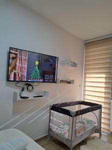 En TV eller et underholdningssystem på Apartman Silvija Divčibare