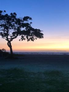 un árbol en un campo con la puesta de sol en el fondo en Camping beira mar en Bertioga