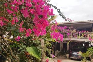 a bunch of pink flowers in front of a house at Central Nadi - Lodge 2 in Nadi