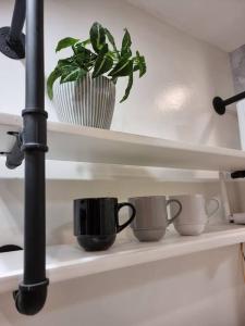 a shelf with three cups and a potted plant at The Gemini Studio in Bacolod