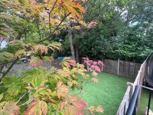 a garden with green grass and a fence and trees at Spacious Kosher Flat in Golders Green in London +4 photos