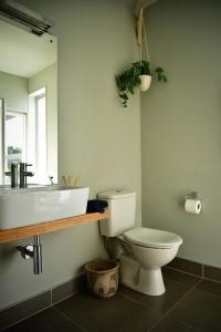 a bathroom with a sink and a toilet and a mirror at Getaway Bach Whangapoua in Coromandel Town