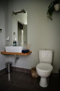y baño con lavabo, aseo y espejo. en Getaway Bach Whangapoua, en Coromandel