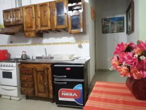 cocina con fregadero y fogones horno superior en Sai Ram en San Martín