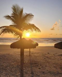 una palmera en la playa con puesta de sol en Recanto da Gabriela - Apartamento para temporada na zona sul de ilhéus en Ilhéus
