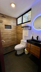 a bathroom with a toilet and a sink and a window at Roots Luxury Cabins in Mineral del Monte