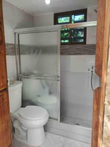 W łazience znajduje się toaleta i przeszklony prysznic. w obiekcie Villa vista del manantial w mieście Concepción de La Vega