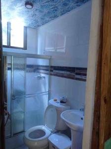 een badkamer met een toilet en een wastafel bij Villa vista del manantial in Concepción de La Vega