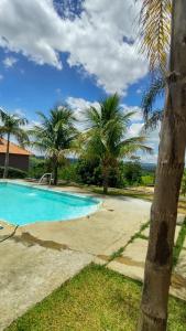a swimming pool with palm trees in the background at Chacara em Condomínio in Mairinque