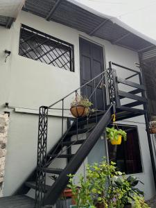 a staircase with two potted plants on a house at SelvaToSleep in Quepos