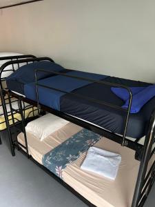 a bunk bed with blue sheets on top of it at SelvaToSleep in Quepos