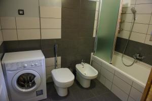 Koupelna v ubytování Apartment Arpa