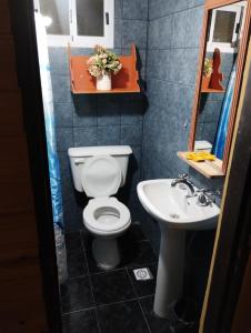 La petite salle de bains est pourvue de toilettes et d'un lavabo. dans l'établissement Depto Arianna, à Los Antiguos