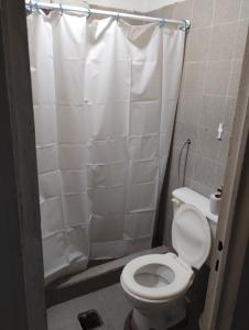 La salle de bains est pourvue de toilettes et d'un rideau de douche. dans l'établissement Depto Arianna, à Los Antiguos