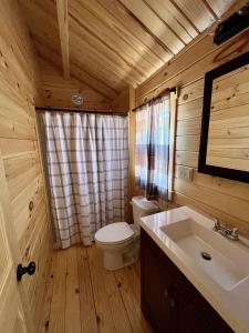 a bathroom with a toilet and a sink at Zion Canyon Cabins in Springdale