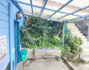 a green wall with a bench in front of a building at Nulu View Cabin in Kundasang