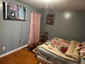 a bedroom with a bed and a tv on the wall at Guest House Master's Bedroom with Private Bathroom, 6 mins to Newark Liberty International Airport Penn Station Prudential New York It is central close to major places in Newark