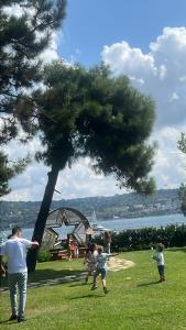 un grupo de personas en un parque con un árbol en İstiklal hostel istanbul en Estambul