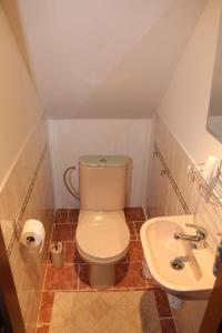 a small bathroom with a toilet and a sink at Apartment Příbram in Příbram +7 photos
