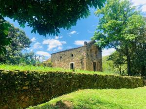 an old stone building behind a hedge at Casa de Alvenaria- Mauá in Mauá