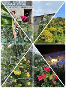 A garden outside 馬港驛站 Oldharbor Hostel