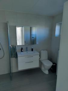 een badkamer met een toilet, een wastafel en een spiegel bij Tångaberg, Varberg in Varberg