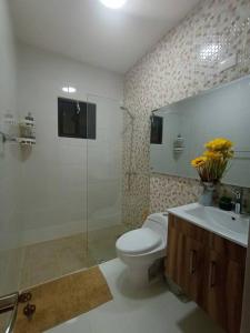 a bathroom with a toilet and a sink and a shower at Estrella de luz penthouse a estrenar in Santiago de los Caballeros