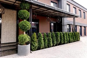 a row of hedges in front of a building at Zhytomyr palace mimino in Zhytomyr