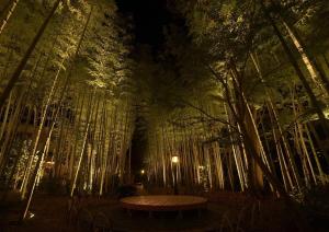 un parque con un banco y árboles por la noche en Hostel Knot, en Izu