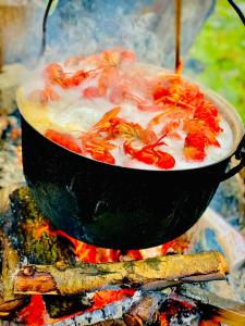 a pot of food is cooking on a fire at Casa Teo in Mahmudia