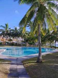 un palmier installé à côté d'une piscine dans l'établissement 23 Residence Thalassa,, à Belle Mare