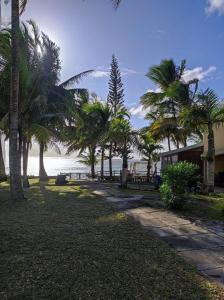 Une rangée de palmiers à côté de l'océan dans l'établissement 23 Residence Thalassa,, à Belle Mare
