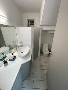 La salle de bains est pourvue d'un lavabo et de toilettes. dans l'établissement 23 Residence Thalassa,, à Belle Mare