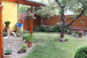 Vonkajšia záhrada v ubytovaní Apartment BENCI