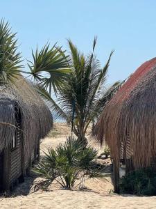a group of straw huts and palm trees on the beach at Cheerful 3-bedroom holiday beach cabin. in Inhambane