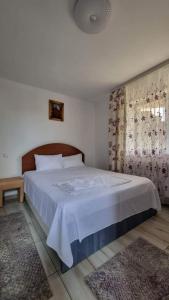 ein Schlafzimmer mit einem Bett mit einer blauen Decke und einem Fenster in der Unterkunft CASA ROTARU in 2 Mai