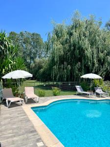 - une piscine avec 2 chaises longues et des parasols dans l'établissement Domaine du Lac de la vallée, à La Roquette-sur-Siagne