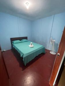 a bedroom with a bed in a blue room at Casa Tabacon cr in Río Claro