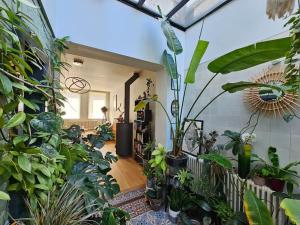 a room filled with lots of plants at Maison de Caractère 8 pers - Jardin - in Lambersart