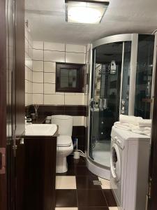 a bathroom with a toilet and a washing machine at Urban Oasis: Central Location in Bucharest