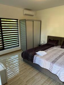 エフォリエ・スドにあるCAMERE de INCHIRIAT CRIS&DIAのベッドと大きな窓のある寝室 +15枚の写真