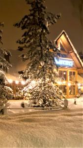 ビャウカにあるZAJAZD BIAŁCZAŃSKI Dom Wypoczynkowy Restauracjaの建物前の雪に覆われたクリスマスツリー