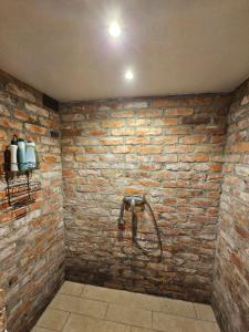 ein Bad mit einer Backsteinwand und einer Dusche in der Unterkunft Ziedu pirts in Auciems