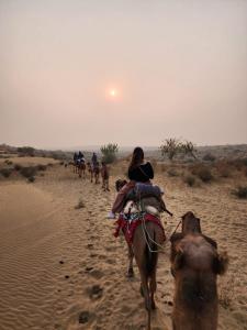 齋沙默爾的住宿－Hostel Magic Home Stay jaisalmer，一群人骑着骆驼在沙漠中