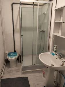 een badkamer met een douche, een toilet en een wastafel bij Appartement cosy et chaleureux in Morez