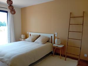 a bedroom with a bed and a book shelf at Maison neuve avec piscine chauffée, 4 kms de Contis plage in Saint-Julien-en-Born