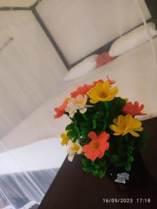 Fotografie z fotogalerie ubytování Green House, Upstairs Apartment v destinaci Madihe East