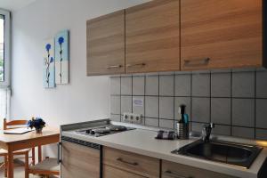 a kitchen with a sink and a counter top at Pension Arndt UG in Wangerland