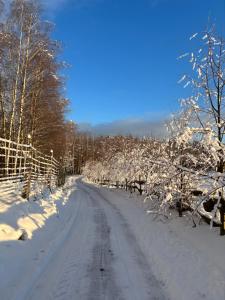 Billede fra billedgalleriet på Przytulisko na Mazurach i Ruciane-Nida