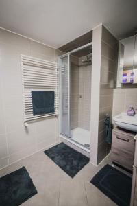 y baño con ducha y lavamanos. en Retreat am See, en Leipzig